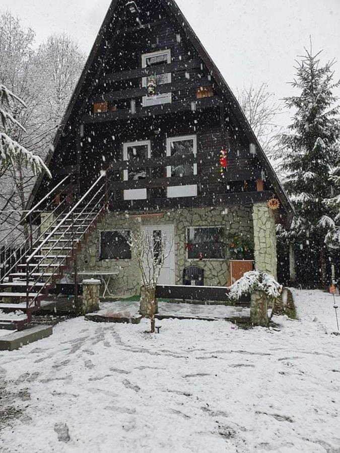 Cabanuta Dan & Alex Vila Cîrţişoara Exterior foto
