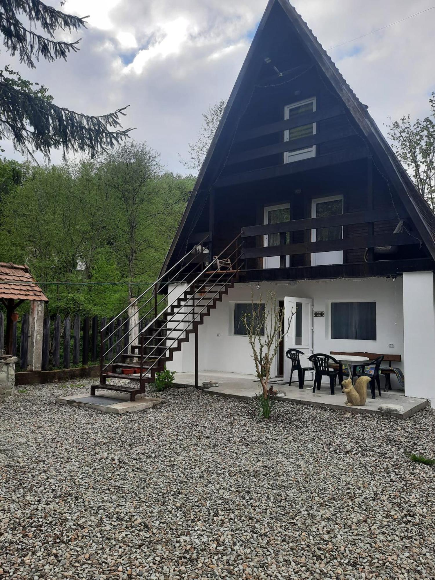 Cabanuta Dan & Alex Vila Cîrţişoara Exterior foto