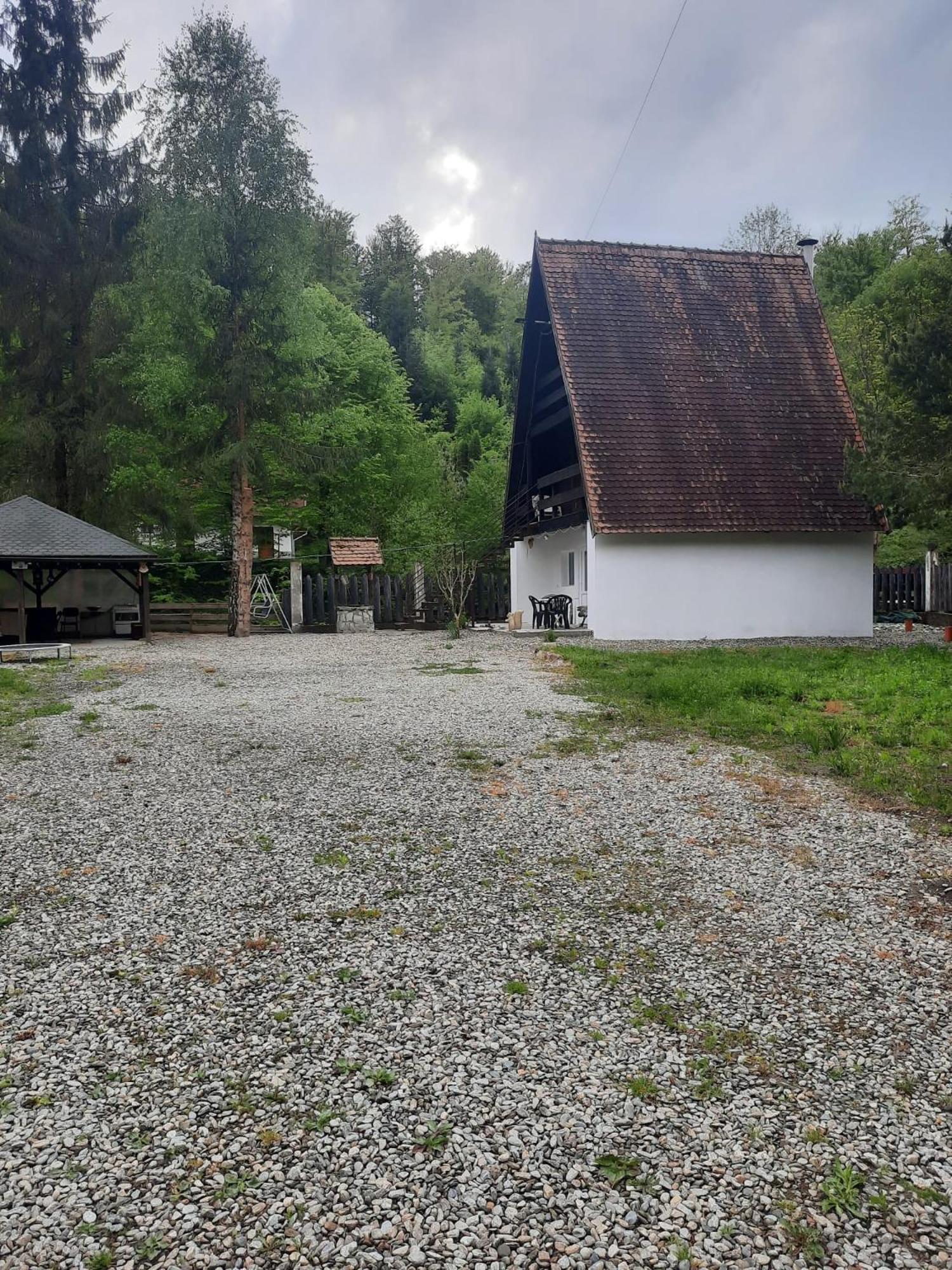 Cabanuta Dan & Alex Vila Cîrţişoara Exterior foto