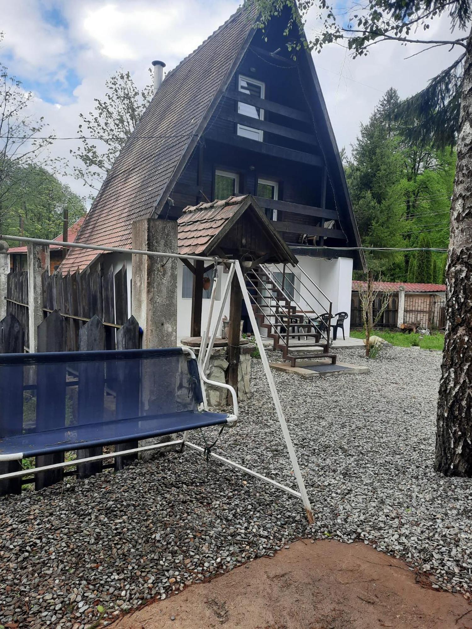 Cabanuta Dan & Alex Vila Cîrţişoara Exterior foto
